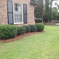 landscape-redesign-installation-fayetteville-27