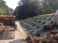 landscape-redesign-installation-fayetteville-5