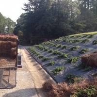 landscape-redesign-installation-fayetteville-5