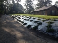 landscape-redesign-installation-fayetteville-7