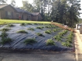 landscape-redesign-installation-fayetteville-8