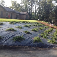 landscape-redesign-installation-fayetteville-8