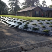 landscape-redesign-installation-fayetteville-9