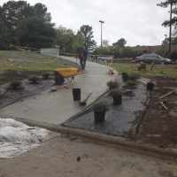 sidewalk-flower-beds-fayetteville-state-university-nc-11