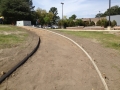 sidewalk-flower-beds-fayetteville-state-university-nc-3