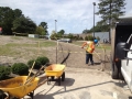 sidewalk-flower-beds-fayetteville-state-university-nc-6