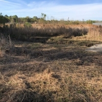 culvert-installation-goldsboro-nc-5