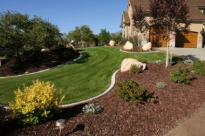 Landscaping Fayetteville