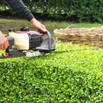 Landscaping Services, Landscape Maintenance