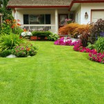 Landscaping Services, Lawn Maintenance