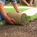 Landscaping Services, Sod Installation
