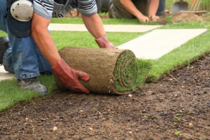 Eastover Landscaping Company, Landscaping Services, Sod Installation